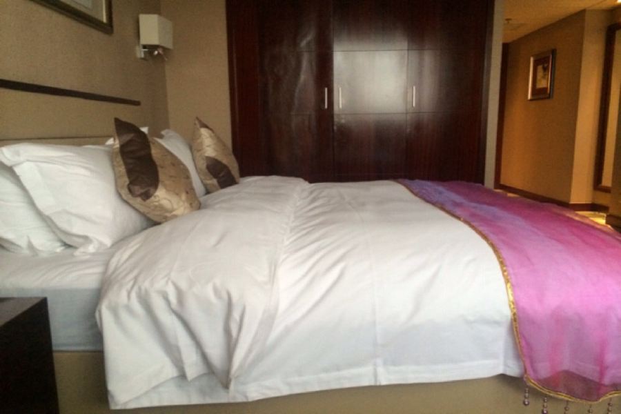Arcadia International Hotel Cangzhou Екстериор снимка